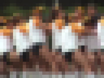 TB-Y12 天然記念ブル12