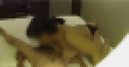 激しいジュポ・ジュポ・バキュームがたまらない★1発目は必ずフェラで絞り飲み干してくれる淫乱浮気主婦part4★口内発射★