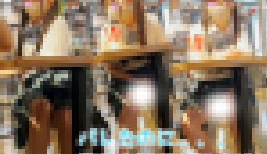 【撮影バレ】ツインテ青チェJKが見せつけてきた【4K】