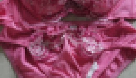 捨てられる予定だった下着や水着たち