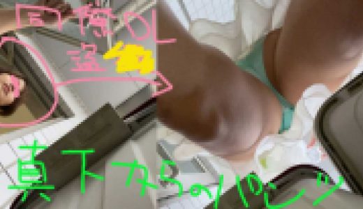 【かえでさん②】ベテランOLのゴミ捨て場で逆さ撮り【社内パンチラ盗●】