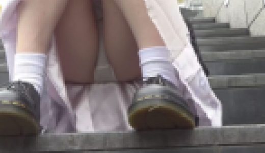 今日も純白