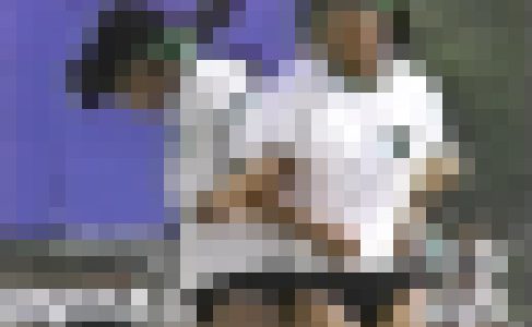 みかんの国のK体育祭18コンプリートセット