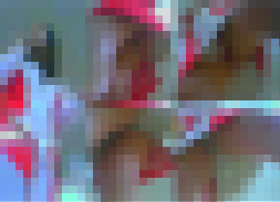 【再販】キャンギャル逆さ風22　2日連続モデル 土曜は赤で日曜は白 めでたく紅白生P！