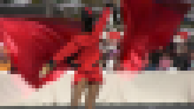 MBT-W303 カラーガード'09(1)