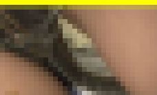 3363／「裏切り撮り・キャンちゃん危機一髪化作戦（22）」