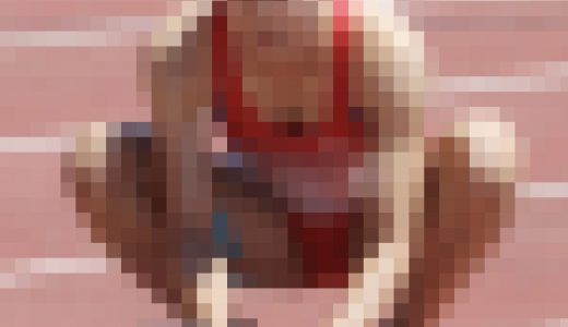 0473_01 短距離 その1 全国規模大会から