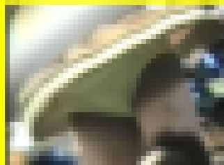 2966／「蒐集撮り・チアーでいこう（31）」