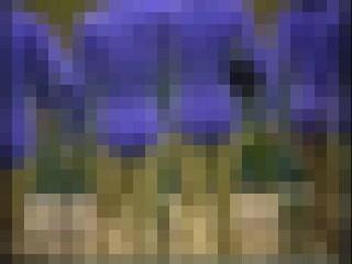 レオタード　団体「美女　Kawaii」JKC-2