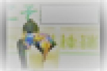 レオタード　団体　B-hip編