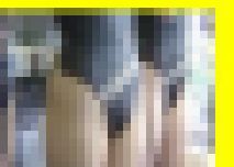 3583／「陶酔撮り・キャンちゃんと飛ぼう（４）」