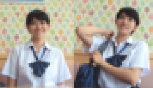 職権乱用極悪盗撮動画～面接中にパンツを盗られる乙女たち。Vol.4～(前田敦ちゃん 激似JK編 ～光沢水玉Pで昇天～)