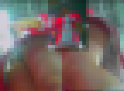 【再販】キャンギャル逆さ風48　フロントもっこり水玉生Pキャンギャルちゃん！