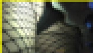 3453／「探り撮り・キャンちゃんがくれた秘境大冒険（７）」