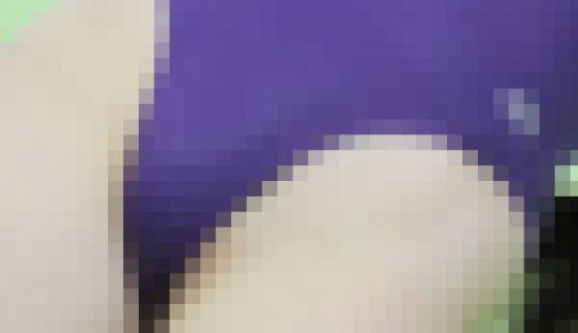 体操競技-079【再販商品】