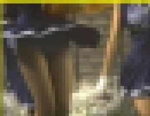 3013／「蒐集撮り・チアーでいこう（34）」