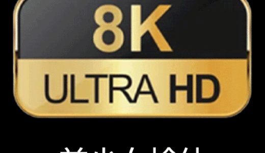 産業用８Kカメラで撮影