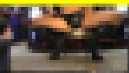 4133／「偽装撮り・キャンちゃん私家盤コレクション（４）」