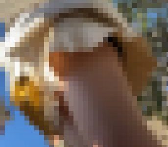晴天の縁日ギャル女良至近距離視姦＾＾