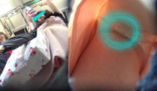 パンチラ小人目線☆☆（pa-to469)［電車編]
