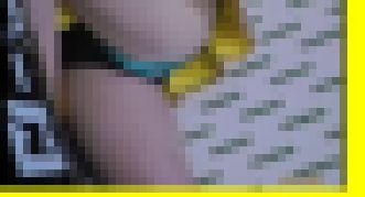 4745／「偽装撮り・キャンちゃん私家盤コレクション（26）」