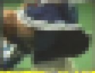 4064／「蒐集撮り・チアーでいこう（65）」