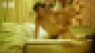 19歳の体育会系大学生_総集編