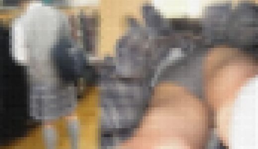 ☆街の逆さ☆33