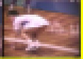 5058／「蒐集撮り・バドミントンでいこう（48）」