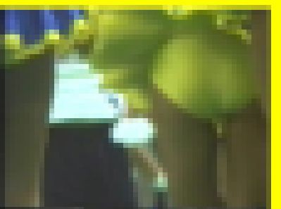 4127／「蒐集撮り・チアーでいこう（66）」