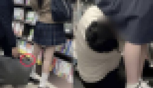 【同業者編】【6人分セット】ネコからの贈り物【禁断の逆さ撮り】