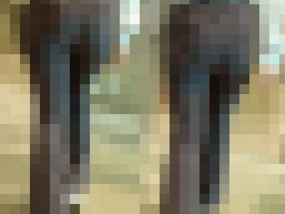 美＊パンティーライン通信＊美脚・美尻女子が街を歩く?編