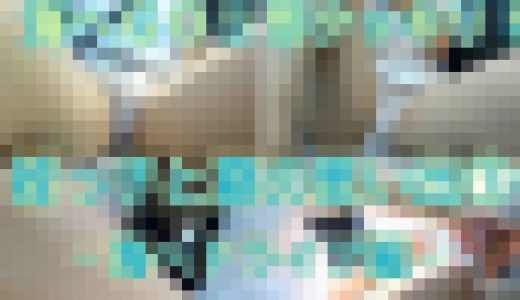 【4K長編】姪っ子との夏の思い出①海へドライブ編