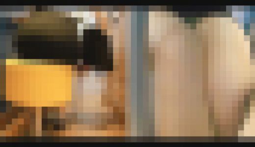 【マ◯ク店内隠し撮り】枕営業で契約を獲る生保レディのパンチラ