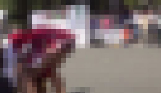 空を舞う本格D競技チア（年一のインカレイベント）