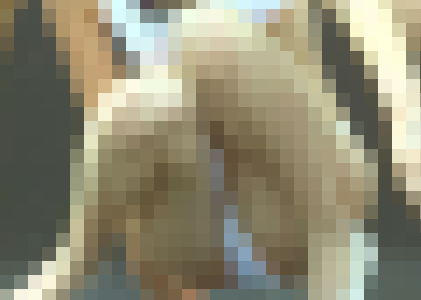 AF03-02 アメリカンカーフェスタ2003(後編)