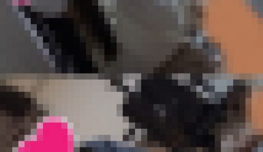 【手コキ動画2本】ももクロ夏菜子似の美女が不機嫌モードで嫌々手コキ×24歳素人OLの手コキ