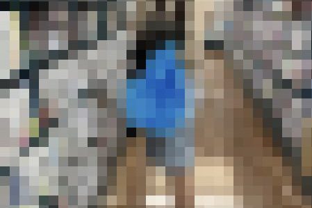 【レア】美女逆さ　ノーパン？！Tバック？！