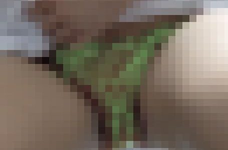 変態誰もが振り返るレベルの超絶美人を目で追うとまさかのシン・神展開