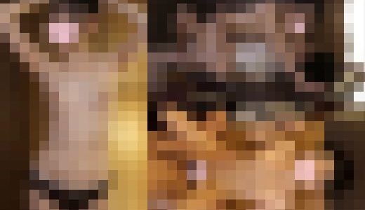 セクハラボディトリートメント　＃141