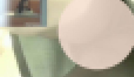 【お宝放出！待望の動画第22弾】ハンディカムアーカイブ！羨望の某グローバルメーカー・ギャラリーコンパニオンさん☆（MF-V014