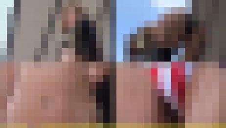 5269／「探り撮り・キャンちゃんがくれた秘境大冒険（123）」