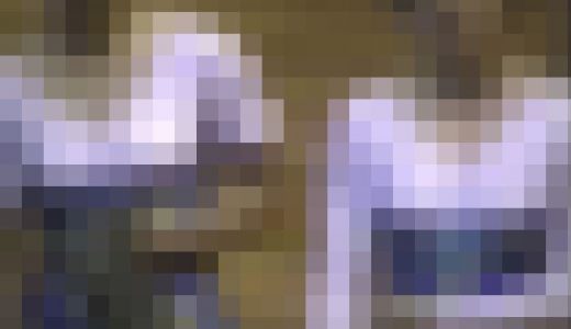 0113／「ときめき撮り・レオタードがくれた妖精たち（８）」