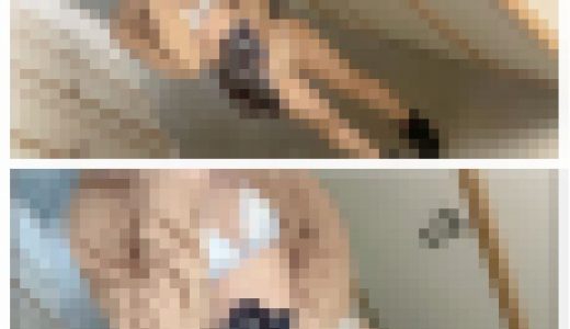 ゴム付ける約束だったけどそのまま生ハメで唖然ww」友達の妹さんを制服のまま自宅のマンションのタイヤ置き場に連れてきて生ハメしちゃ