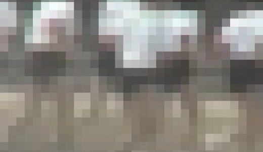ブルマの体育BBB-02顔出し完全版　(新学期のプルルンブルマ授業)