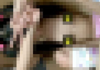 【家出っ子を泊める代わりに…背徳感の渦】～北関東の無職(48)の悪事29～【電子写真集】