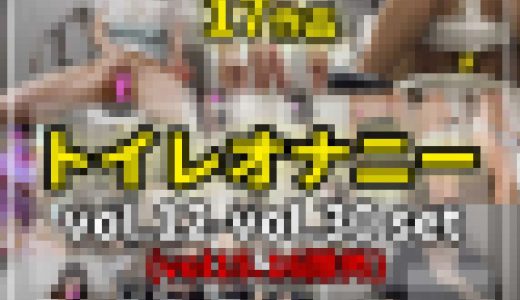 女子トイレの秘密?【No.12～No.30】※No.15～16欠番　17作品セット　トイレオナニー、着替え【個人撮影】