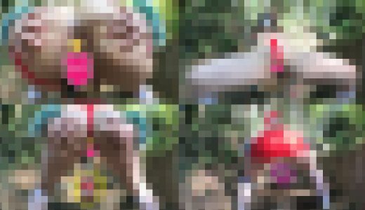 ?野外ケツ穴オナニー?振回されてサンタ苦労す?