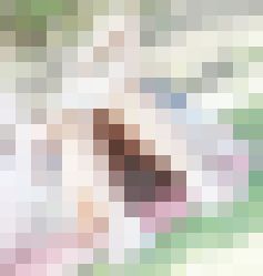 美人お姉さん達の座りパンチラ4