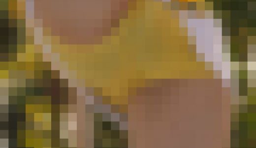 [4K動画]チアリーダー53